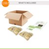 Garden State Bulb Mixed Oriental Lily Flower Bulbs, 14/16Cm (Bag of 20) - Image 6