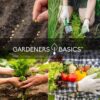 Survival Vegetable Seeds Garden Kit over 16,000 Seeds Non-Gmo and Heirloom, Great for Emergency Bugout Survival Gear 35 Varieties Seeds for Planting Vegetables 35 Plant Markers - Image 7