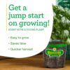 Husky Cherry Red Tomato Live Vegetable Plants - 4 Pack, Non-Gmo, Bite Sized, Disease Resistant - Image 7