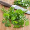 Flat Italian Parsley Live Herb Plants - 4 Pack, Biennial, Non-Gmo, Garnish, Seasoning, Salads, Palate Cleanser - Image 3