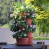 5 Tier Tower Stackable Planter, Strawberry Planter, Vertical Gardening Indoor/Outdoor Planters, Herb Planter for Growing Flowers, Vegetables and Succulents (Brick Red) - Image 6