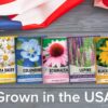 Perennial Flower Seeds for Planting Outdoors (5 Variety Pack) Lupine, Columbine, Echinacea Purple Coneflower, Black Eyed Susan, Shasta Daisy for Pollinators Wildflower Seed by - Image 6