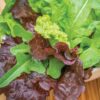 Heatwave Blend Lettuce Seeds 1000 Seeds
