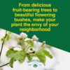 Farmer’S Secret Fruit & Bloom Booster Fertilizer (16Oz) - Super Concentrated - Increases Flowering and Yield on All Varieties of Fruits, Vegetables and Flowers - Image 2