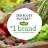 Better Boy Tomato: 4 Pack Live Vegetable Plants, Disease Resistant, Large 16 Oz Fruit Size, Non-Gmo, Red - Image 7