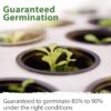 10,000+ Heirloom Lettuce Seeds for Planting Indoors - 95% Germination, Non-Gmo Greens Seeds, (20 Varieties): Kale, Spinach, Butter, Oak, Romaine Bibb & More - Lettuce Seeds for Hydroponic - Image 5
