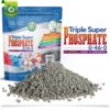 Triple Super Phosphate 0-46-0 Fertilizer - Made in USA - Bloom Booster - TSP Pure Phosphorus Plant Food for Indoor/Outdoor Plants and Flower Gardens - Fruit, Vegetables, Holistic Herbs, Trees & More!