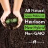 10,000+ Heirloom Lettuce Seeds for Planting Indoors - 95% Germination, Non-Gmo Greens Seeds, (20 Varieties): Kale, Spinach, Butter, Oak, Romaine Bibb & More - Lettuce Seeds for Hydroponic - Image 3