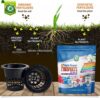 Triple Super Phosphate 0-46-0 Fertilizer - Made in USA - Bloom Booster - TSP Pure Phosphorus Plant Food for Indoor/Outdoor Plants and Flower Gardens - Fruit, Vegetables, Holistic Herbs, Trees & More! - Image 7