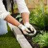 Brut Organic Worm Castings – 30 Lb – Garden'S Elixir for Thriving Blooms & Harvests! - Image 9