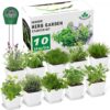 Herb Garden Kit Indoor Herb Starter Kit - 10 Variety Herbs with Complete Herb Growing Kit - Kitchen Window Herb Garden - Unique Gardening Gifts for Women & Men