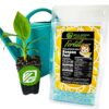 Banana Fuel Fertilizer - Water-Soluble 15-5-30 Blend - Banana Plant Fertilizer - Plant Food - Formula for Banana Trees & Plants - Grow Healthy and Happy Plants (1 Pound) - Image 2