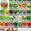 Survival Vegetable Seeds Garden Kit over 16,000 Seeds Non-Gmo and Heirloom, Great for Emergency Bugout Survival Gear 35 Varieties Seeds for Planting Vegetables 35 Plant Markers
