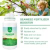 Organic Seaweed Booster, Plant Nutrient Concentrate, Kelp Lawn and Plant Concentrate Liquid Fertilizer for All Plants, Non-Toxic and Safe, Help Plants Healthy Growth and Recover from Stress - Image 2