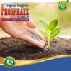 Triple Super Phosphate 0-46-0 Fertilizer - Made in USA - Bloom Booster - TSP Pure Phosphorus Plant Food for Indoor/Outdoor Plants and Flower Gardens - Fruit, Vegetables, Holistic Herbs, Trees & More! - Image 6