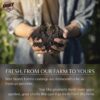 Brut Organic Worm Castings – 30 Lb – Garden'S Elixir for Thriving Blooms & Harvests! - Image 5