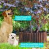 Garden Wooden Short Fence Burnt Wood Finish Outdoor Landscape Edging Flexible Decorative Border - Tree Fence - Spring Garden & Yard Maintenance - 7.9'' H X 42'' L - K619A05 - Image 6