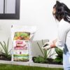 Brut Organic Worm Castings – 30 Lb – Garden'S Elixir for Thriving Blooms & Harvests! - Image 10