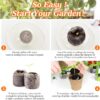 50 Pcs 30Mm Seed Starter Peat Pellets Pods for Seedlings- Compressed Seed Starting Pellets Seed Starter Pods Plugs Soil Peat Pods for Starting Seeds, Garden Planting Herb Flower Vegetables - Image 4