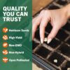 15,000 Non GMO Heirloom Vegetable Seeds for Planting Vegetables and Fruits (32 Variety Pack) - Gardening Seed Starter Kit, Survival Gear Food, Gardening Gifts, Prepper Supplies - Image 4