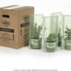 Better Boy Tomato: 4 Pack Live Vegetable Plants, Disease Resistant, Large 16 Oz Fruit Size, Non-Gmo, Red - Image 2