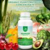 Organic Seaweed Booster, Plant Nutrient Concentrate, Kelp Lawn and Plant Concentrate Liquid Fertilizer for All Plants, Non-Toxic and Safe, Help Plants Healthy Growth and Recover from Stress - Image 3