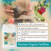 Organic Fish Fertilizer, Indoor Plant Fertilizer & Concentrated Outdoor Organic Fertilizer for New Growth, Fish Emulsion Liquid Plant Food for Trees, Flowers, Fruits, Vegetables & Herb Plants, 1 Gal. - Image 3