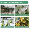 Organic Seaweed Booster, Plant Nutrient Concentrate, Kelp Lawn and Plant Concentrate Liquid Fertilizer for All Plants, Non-Toxic and Safe, Help Plants Healthy Growth and Recover from Stress - Image 4