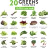 10,000+ Heirloom Lettuce Seeds for Planting Indoors - 95% Germination, Non-Gmo Greens Seeds, (20 Varieties): Kale, Spinach, Butter, Oak, Romaine Bibb & More - Lettuce Seeds for Hydroponic - Image 2