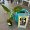 Banana Fuel Fertilizer - Water-Soluble 15-5-30 Blend - Banana Plant Fertilizer - Plant Food - Formula for Banana Trees & Plants - Grow Healthy and Happy Plants (1 Pound) - Image 3