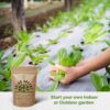 15 Lettuce & Salad Greens Seeds Variety Pack 7500+ Non-Gmo Heirloom Lettuce Seeds for Indoors & Outdoors Garden, Hydroponics, Aerogarden - Arugula, Kale, Spinach, Swiss Chard, Lettuce - Image 5