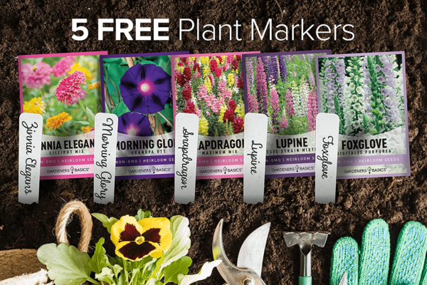 Hummingbird Seeds for Planting Outdoors Flower Seeds (5 Variety Pack) Zinnia, Foxglove, Lupine, Morning Glory, Snapdragons Varieties for Bees, Pollinators Wildflower Seed by - Image 2