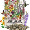 , Large 2 Ounce Package of 30,000+ Hummingbird and Butterfly Garden Wildflower Seed Mixture for Planting (99% Pure Live Seed- NO Filler) 20+ Varieties, Annual Perennial - Bulk
