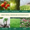 Organic Seaweed Booster, Plant Nutrient Concentrate, Kelp Lawn and Plant Concentrate Liquid Fertilizer for All Plants, Non-Toxic and Safe, Help Plants Healthy Growth and Recover from Stress - Image 6