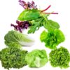 Lettuce Seeds for Planting Home Garden Outdoors - Six Pack Variety Mix of Romaine - Butter - Mesclun Mix - Leaf Salad Bowl - Head Iceberg - Black Seeded Simpson!
