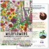 , Large 2 Ounce Package of 30,000+ Hummingbird and Butterfly Garden Wildflower Seed Mixture for Planting (99% Pure Live Seed- NO Filler) 20+ Varieties, Annual Perennial - Bulk - Image 4