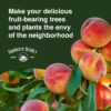 Farmer’S Secret Fruit & Bloom Booster Fertilizer (16Oz) - Super Concentrated - Increases Flowering and Yield on All Varieties of Fruits, Vegetables and Flowers - Image 9