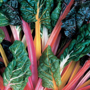 Swiss Chard 19.3 Oz. 4-Pack