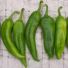 Anaheim Pepper Plant- Two (2) Live Plants – Not Seeds – in 3.5 Inch Pots - Image 3