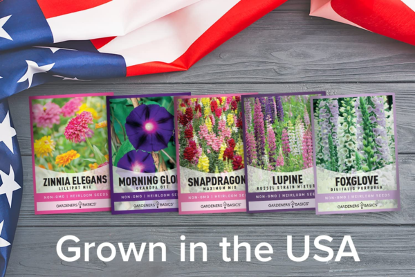 Hummingbird Seeds for Planting Outdoors Flower Seeds (5 Variety Pack) Zinnia, Foxglove, Lupine, Morning Glory, Snapdragons Varieties for Bees, Pollinators Wildflower Seed by - Image 6